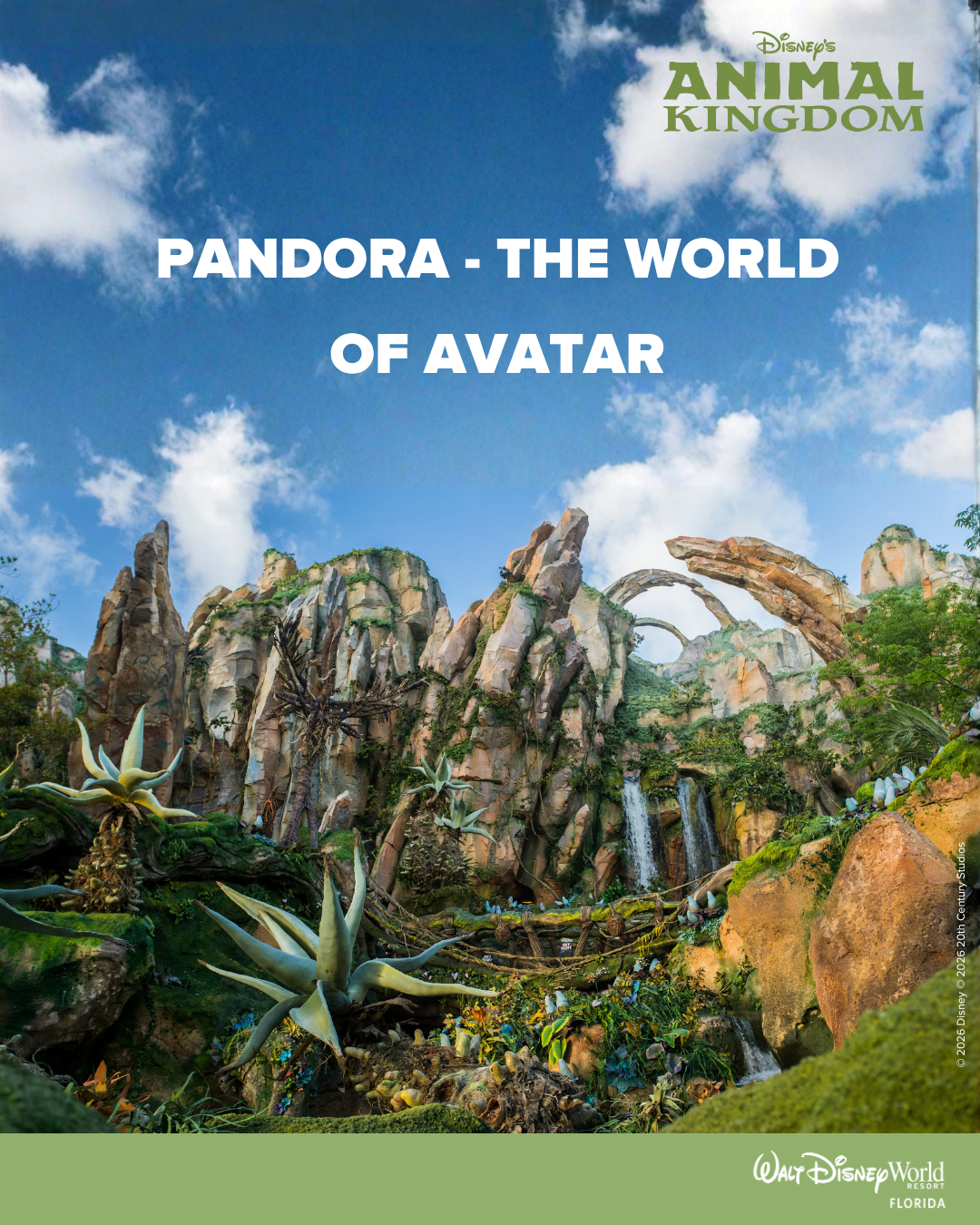 tourmundial_image_6a5169f39540c.png